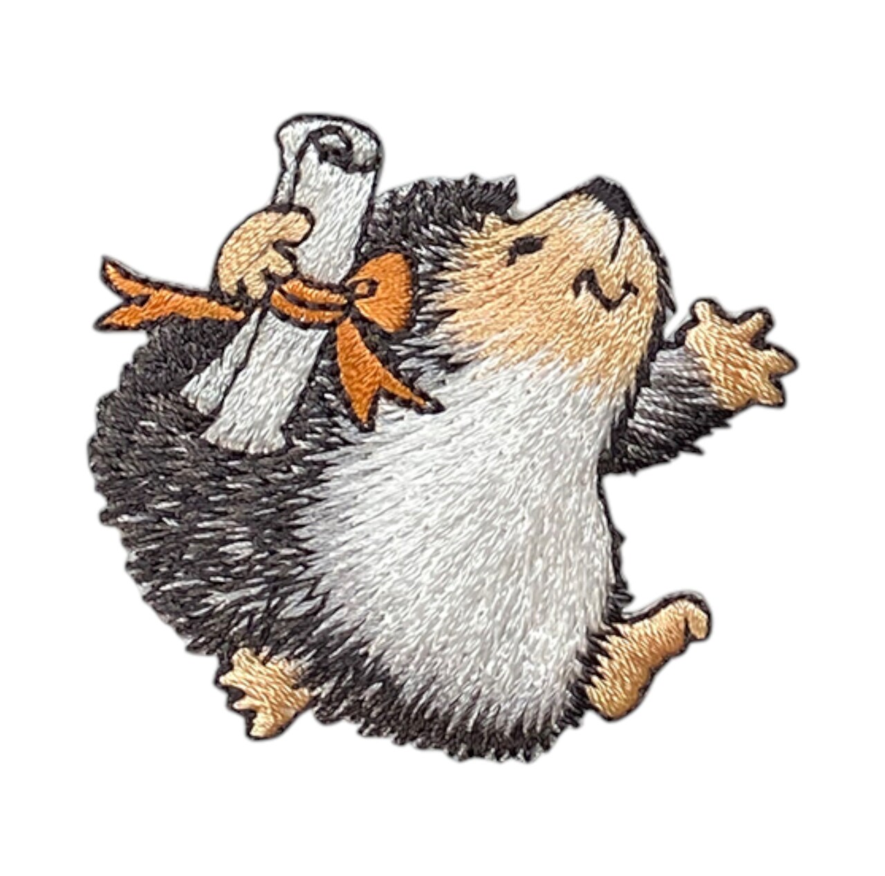 Hedgehog with Diploma, Graduation, Embroidered, Iron on Patch